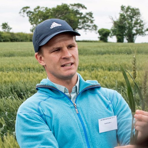 Group Leader for wheat developmental biology at the University of Adelaide.