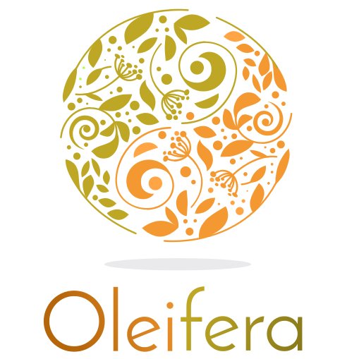 Entre Auvergne et Côte d'Ivoire, Oleifera a développé un savoir faire unique en matière de super aliments #moringa #oleifera #bio #superaliment #naturallife
