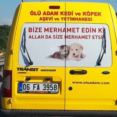 KavutMurat's profile picture. mc2 =