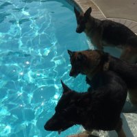 Georgia Sampson 🇺🇸 (@gsampson178) 's Twitter Profile Photo Georgia Sampson 🇺🇸 (@gsampson178) 's Twitter Profile Photo