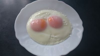 treevillage1229's profile picture. 