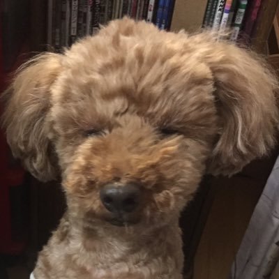 珈琲片手にゲームする日々が欲しい