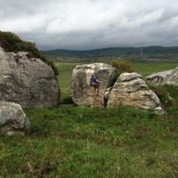 Hugh Garner (@_hugh_garner_) 's Twitter Profile