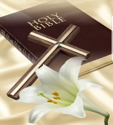 bible_answer's profile picture. ALL ANSWERS ARE IN THE GOOD BOOK