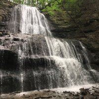Gary C (@gtchamilton) 's Twitter Profile