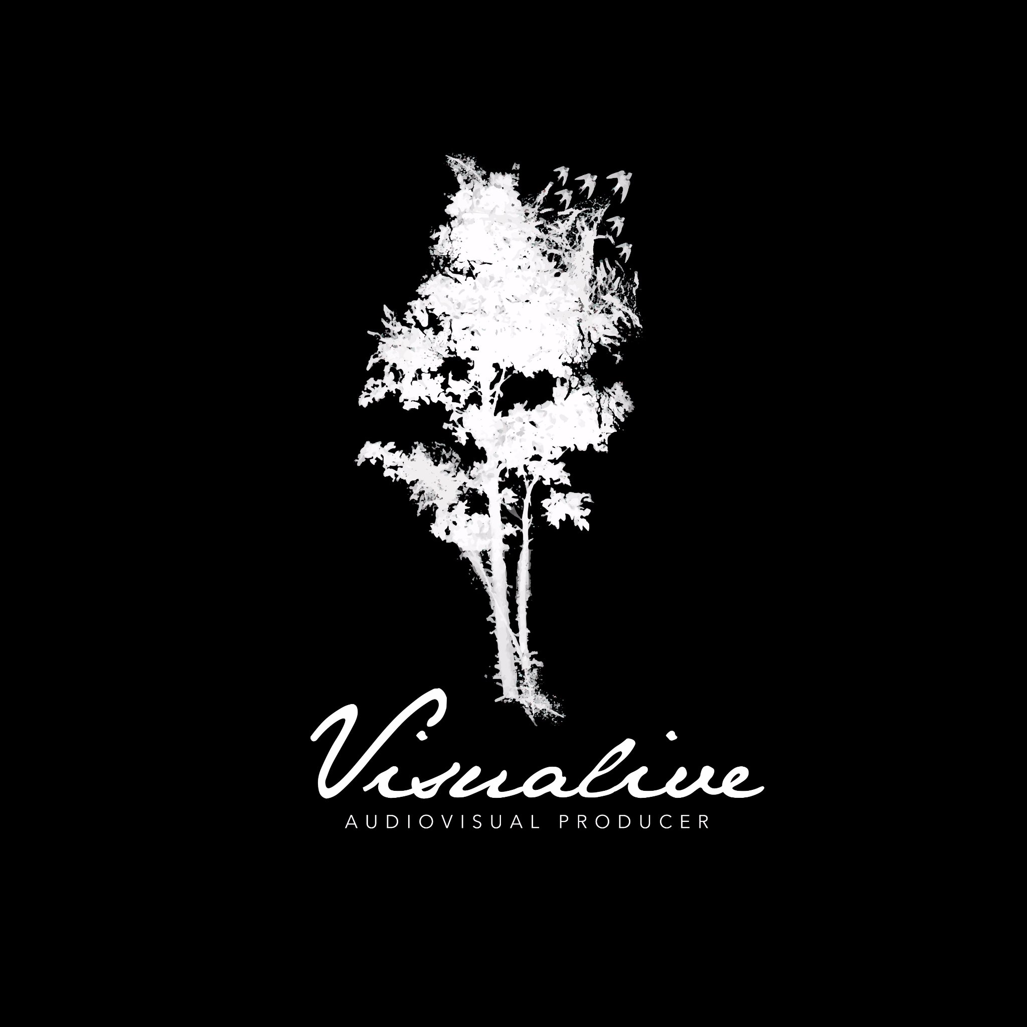 VisualiveStudio's profile picture. Elegimos hacer las cosas con el corazón generando emociones que llevan a la acción por medio de producciones audiovisuales y contenido digital conceptual