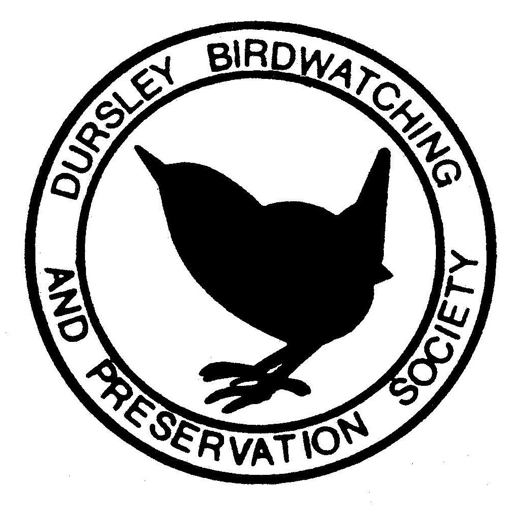 Active and friendly Gloucestershire birding club, we run a full programme of field trips throughout the year and a series of birding talks during the winter.