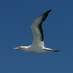 Mark Rodrigue (@mrodrigue) Twitter profile photo