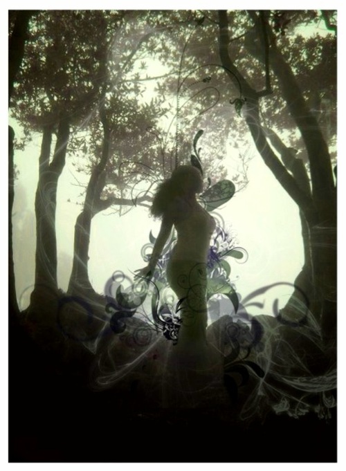 sabzijoon's profile picture. 