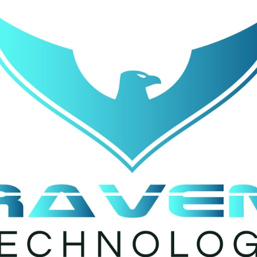 RavenTechnology's profile picture. 