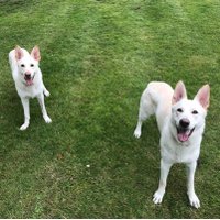 Jonathan P (@mylifescript) 's Twitter Profile Photo Jonathan P (@mylifescript) 's Twitter Profile Photo