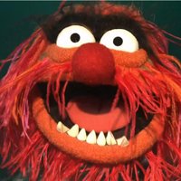 doruk (@doruk) 's Twitter Profile