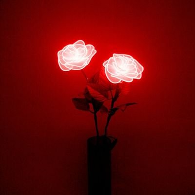 « I have more defects than qualities »@red
snapchat,instagram,tumblr,musically: vcrsfy