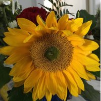 Darby⚜️☀️💫🌙 (@darbs222) 's Twitter Profile Photo Darby⚜️☀️💫🌙 (@darbs222) 's Twitter Profile Photo
