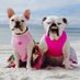 EmmyRose (G💗's sis) & LunaBean (@gloveritchey) Twitter profile photo EmmyRose (G💗's sis) & LunaBean (@gloveritchey) Twitter profile photo