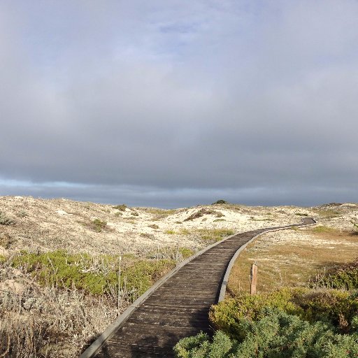 Annual International Asilomar Chromatin, Chromosomes, & Epigenetics Conference has met in Pacific Grove for over 40 years (formerly West Coast Chromatin Conf).