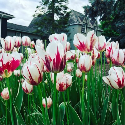 mopeteka's profile picture. 