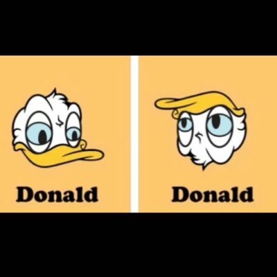 FollowBot2900's profile picture. following everyone I see