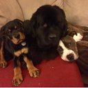 Meghan Holland - @xXmegatron99Xx - Twitter