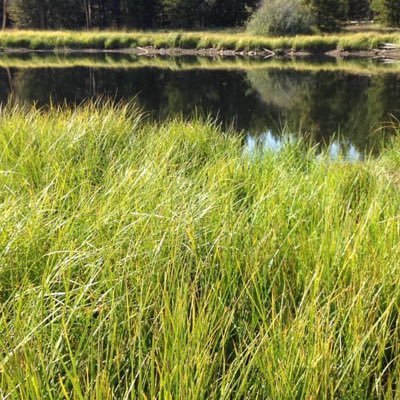 JackWillittsLit's profile picture. Life can be awesome if you make is awesome stay LIT