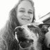 Kristie Triantafelo (@6b7a7a56317841c) Twitter profile photo Kristie Triantafelo (@6b7a7a56317841c) Twitter profile photo