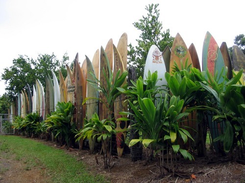 bonbluey's profile picture. Homeschooling, God-loving, web designing, exercising mama of 2.