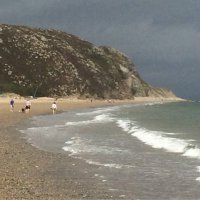Nicola Phillips (@nphillips60) 's Twitter Profile
