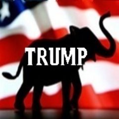 VoteTrumpMAGA's profile picture. 𝓐𝓛𝓛  🇱🇷 𝓣𝓗𝓘𝓝𝓖𝓢 🇱🇷 𝓣𝓡𝓤𝓜𝓟!!! 🇱🇷#Patriot #ProLife #AntiPC #MyPresident #CCOT #2A #TrumpTrain #AmericaFirst #TrumpArmy #Trump2020 #MAGA #KAG #TCOT #Christian