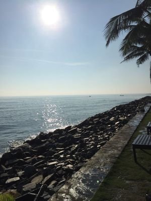 r4dd15hy's profile picture. 