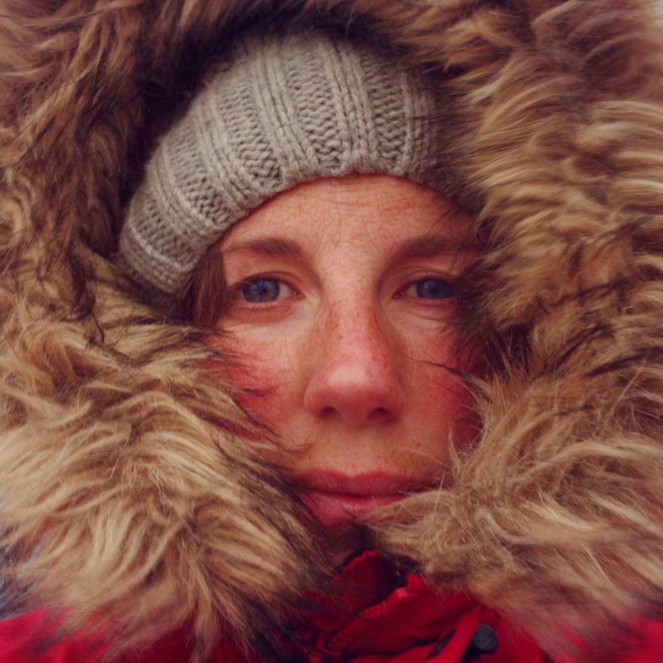 Polar alien hunter ▪️ Ecologist of cold places ▪️ Tea, no sugar.   Co-founder of @polar_aliens  https://t.co/jrIqTSwZhl
@NINAnature 
#scicomm