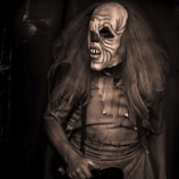Nibiru (@nibiruphoto) 's Twitter Profile
