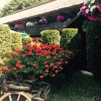 e.claudia (@claudiadr89) 's Twitter Profile
