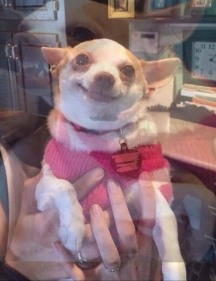 eu sou trouxa mas sou feliz