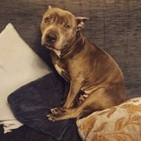 PERCHรFRANCESCHINI?...๐ฎ๐น๐ฎ๐น๐ฎ๐น๐ฎ๐น๐ฎ๐น๐ฎ๐น๐ฎ๐น (@capetolodovico) 's Twitter Profile Photo PERCHรFRANCESCHINI?...๐ฎ๐น๐ฎ๐น๐ฎ๐น๐ฎ๐น๐ฎ๐น๐ฎ๐น๐ฎ๐น (@capetolodovico) 's Twitter Profile Photo