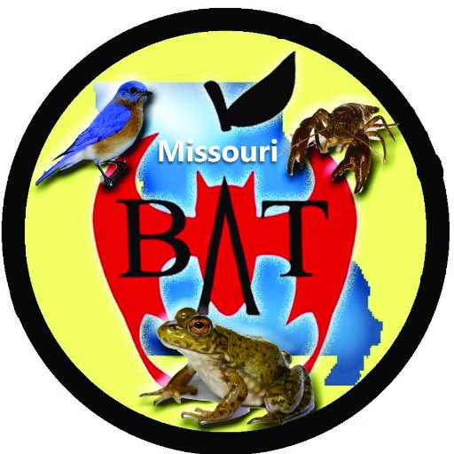 MissouriBATs Profile Picture