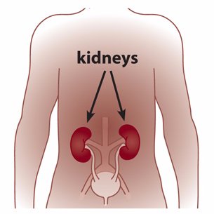 Donors Needed Urgently,For a handsome Price of 1.60 CRORE,Contact Dr Stephen Thimothy of Global Health Care Services on at: MOBILE: +919663225092