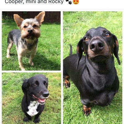 mercjohn's profile picture. 