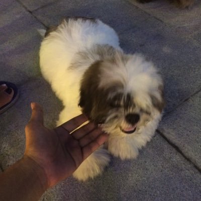 Try niyo kayang kausapin ako kung sino talaga ako, Let's talk, Laugh Trip Gusto ko yan :) At kung hanap nyo na magiging kaibigan nandito ako open sa lahat:)