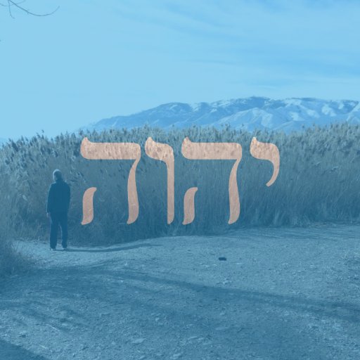 SeekingYHWH's profile picture. 