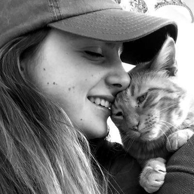 samcarroll11's profile picture. Meow