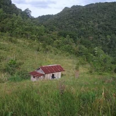 tansaleem761's profile picture. 