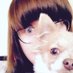 Jo Archer (@lady_archive) Twitter profile photo Jo Archer (@lady_archive) Twitter profile photo