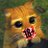 Rueaipueai's profile image