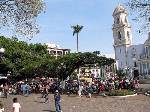 SocialMediaMex's profile picture. Las mejores prácticas en las redes sociales web  en México.