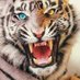 RAJ SIVA (@rajsiva29082989) Twitter profile photo RAJ SIVA (@rajsiva29082989) Twitter profile photo