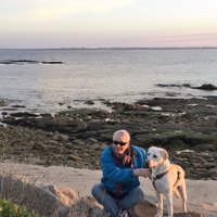Luc Domenge (@lucdomenge) 's Twitter Profile