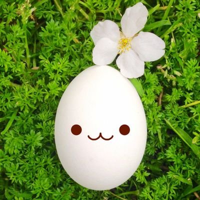 はなたまごさんのプロフィール画像