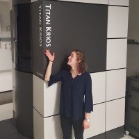 Lexi Walls (@coronalexington) 's Twitter Profile Photo