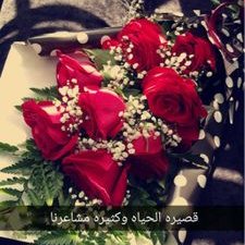 Noor On Twitter يا أيها الذين آمنوا لا تلهكم أموالكم ولا