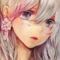 蝶霞@ワンピース (@papillon6_0_9) Twitter profile photo